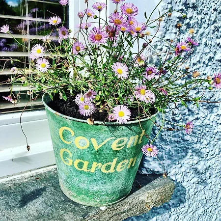 Oda ve Kahvaltı The Blue House High Newton