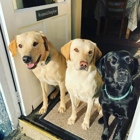 Oda ve Kahvaltı The Blue House High Newton