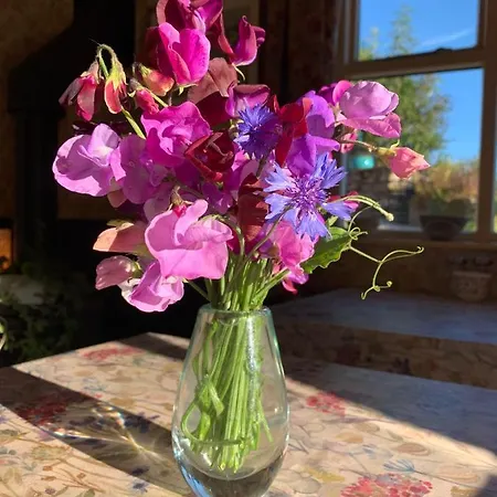 The Blue House לינה וארוחת בוקר