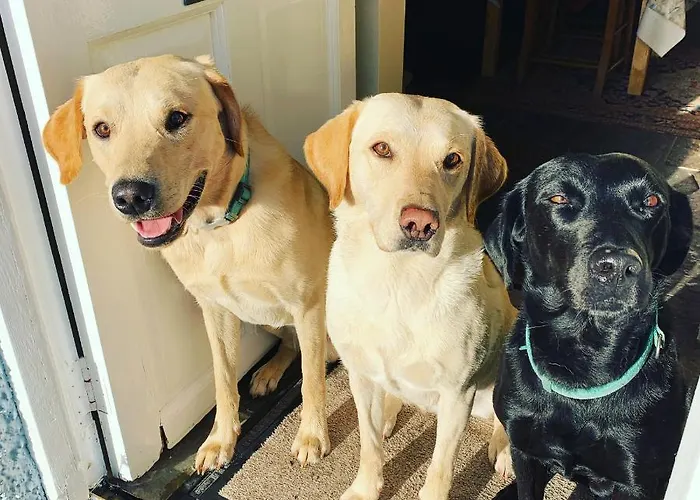 فندق مبيت وإفطار The Blue House High Newton