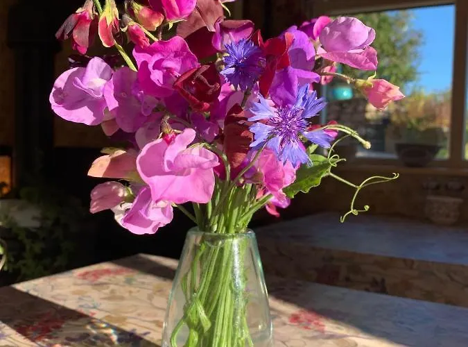 The Blue House فندق مبيت وإفطار